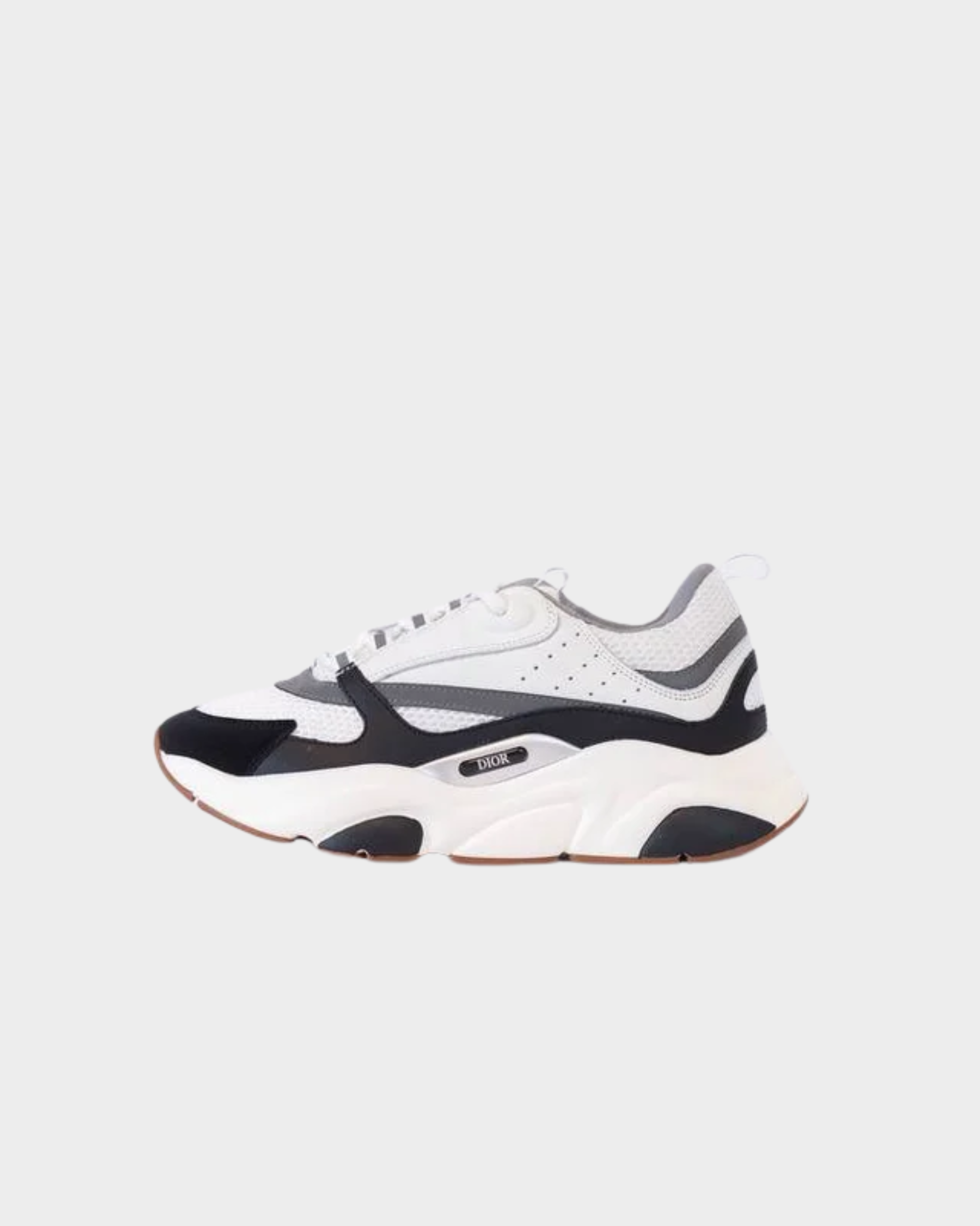 Dior b22